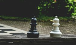 pexels-artur-roman-158558-541538